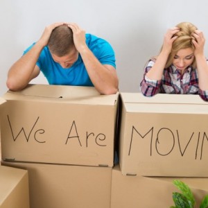 Moving House - Dont Get Stung by an Overpriced Removalist | designlibrary.com.au
